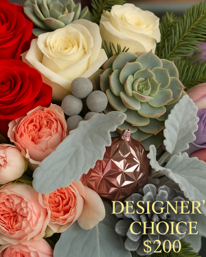 Christmas designer choice $200