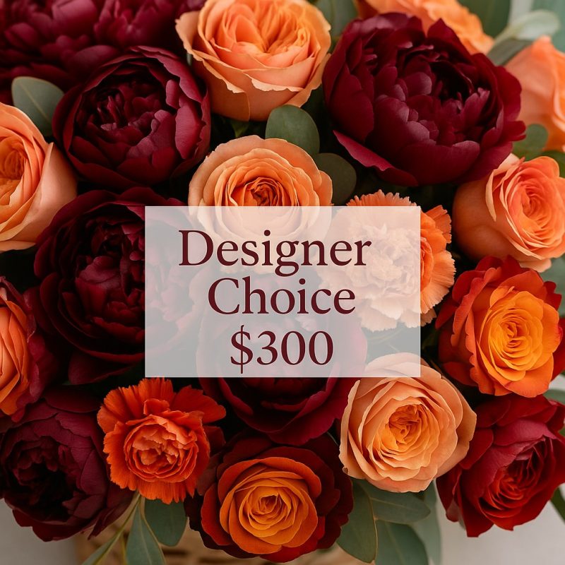 Designer choice $300