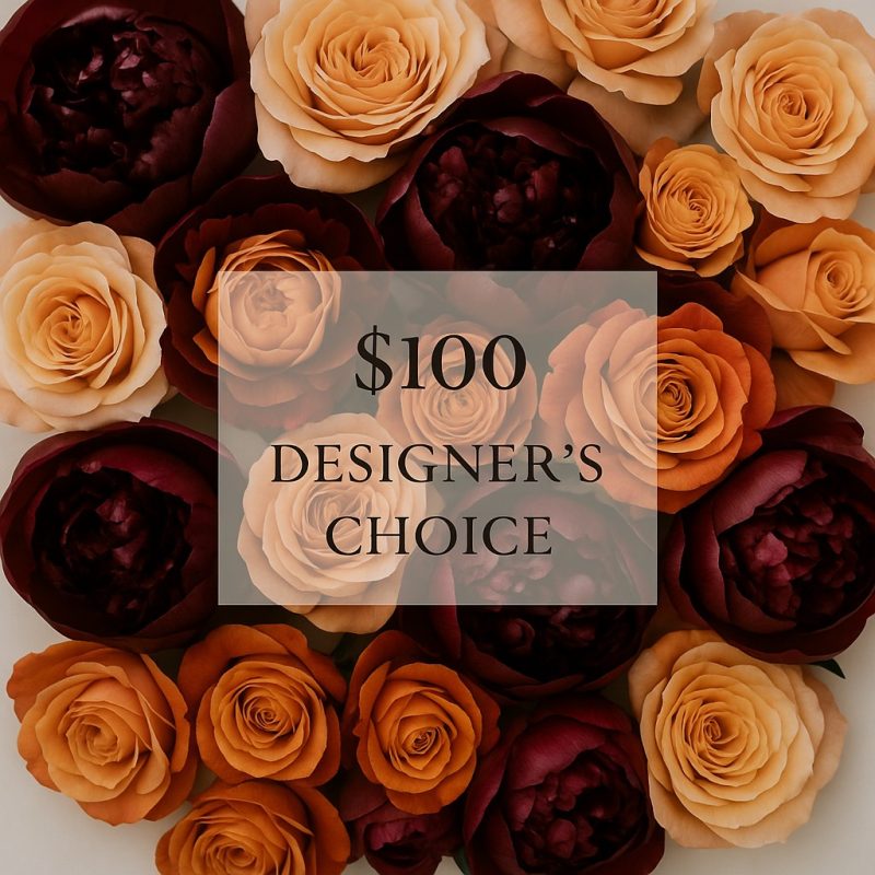 Designer choice $100