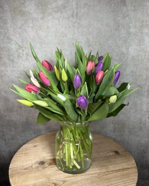 Tulips in the vase