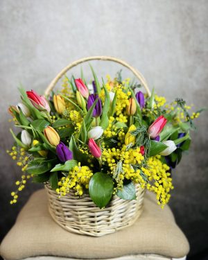 Basket of mimosa and tulips