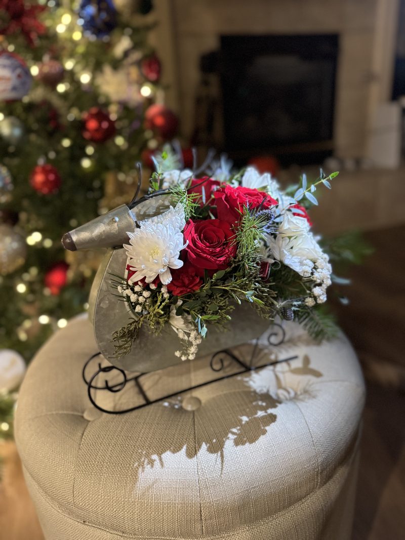 Reindeer Sleigh arrangement