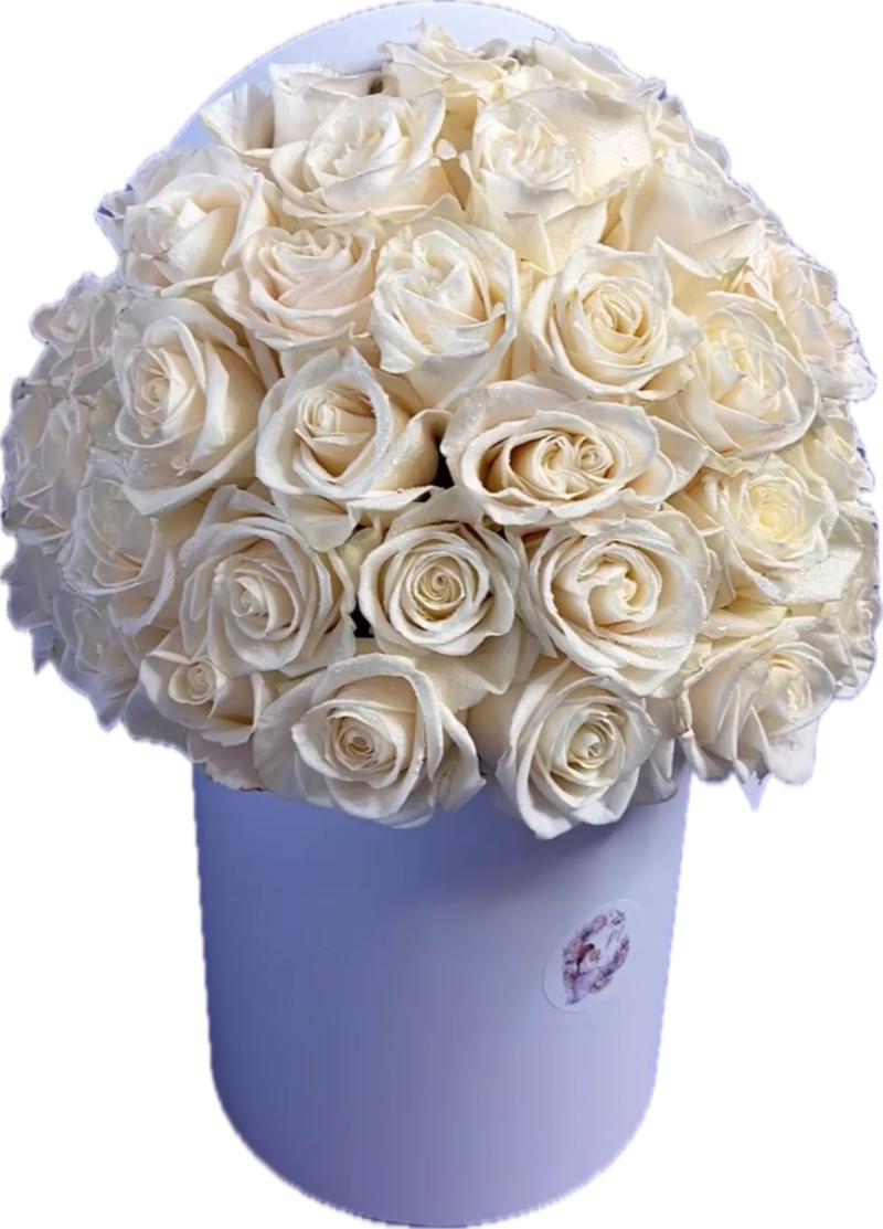 White rose box - Image 4